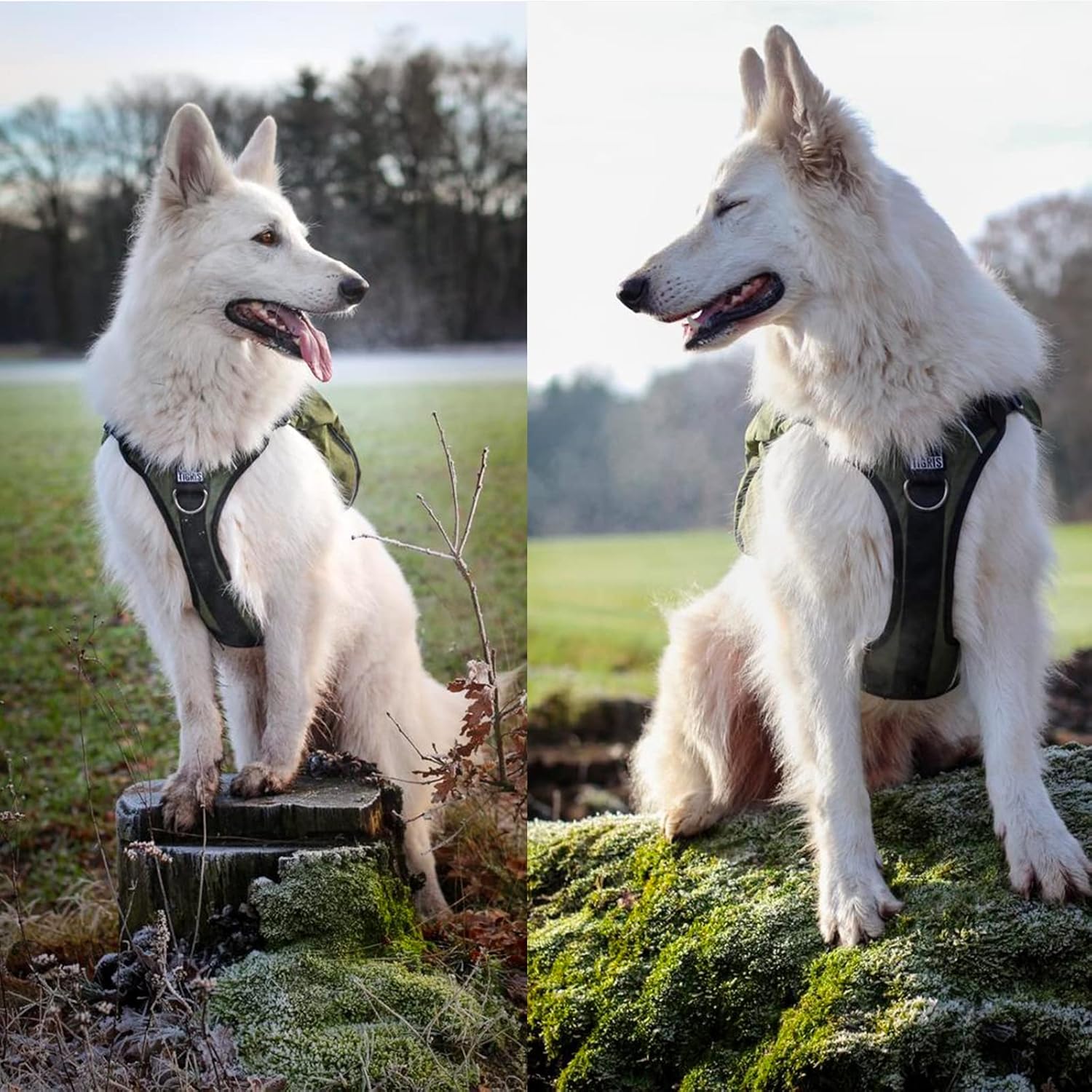 OneTigris Y-Shaped Dog Backpack with Handle, Pockets & No Pull D-Rings, Lightweight Hiking Gear for Dogs Hunting Camping Travel (Large, Green)